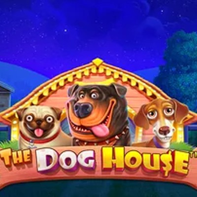 Кадр игры The Dog House (Pragmatic Play)